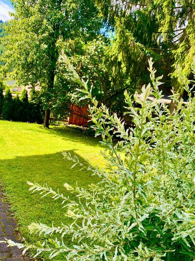 Apartament Haus Alpenrose Waidring Zewnętrze zdjęcie