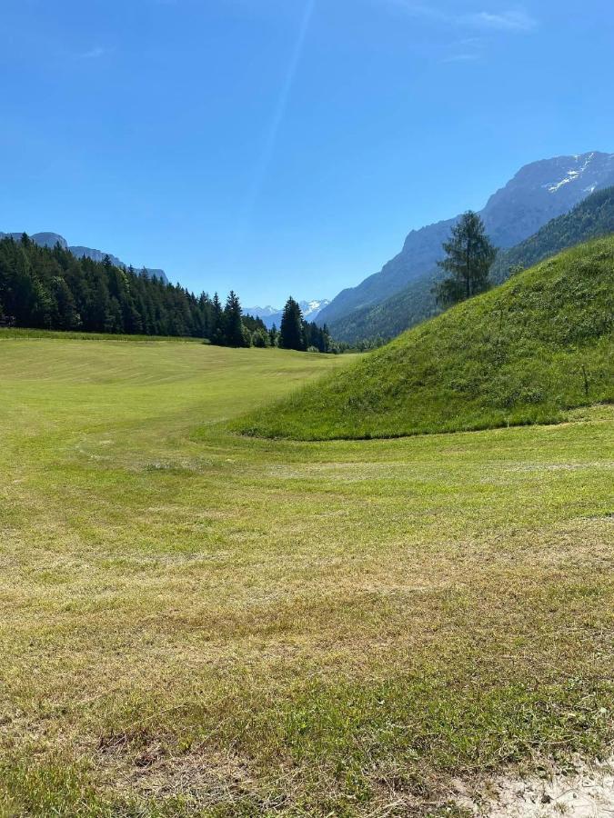 Apartament Haus Alpenrose Waidring Zewnętrze zdjęcie