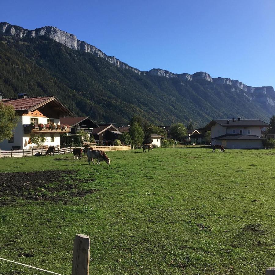 Apartament Haus Alpenrose Waidring Zewnętrze zdjęcie
