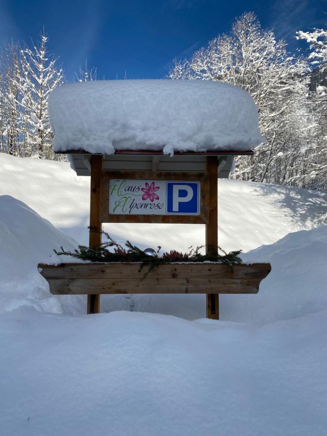 Apartament Haus Alpenrose Waidring Zewnętrze zdjęcie